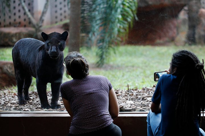 Ingresso: Itaipu Refúgio Biológico
