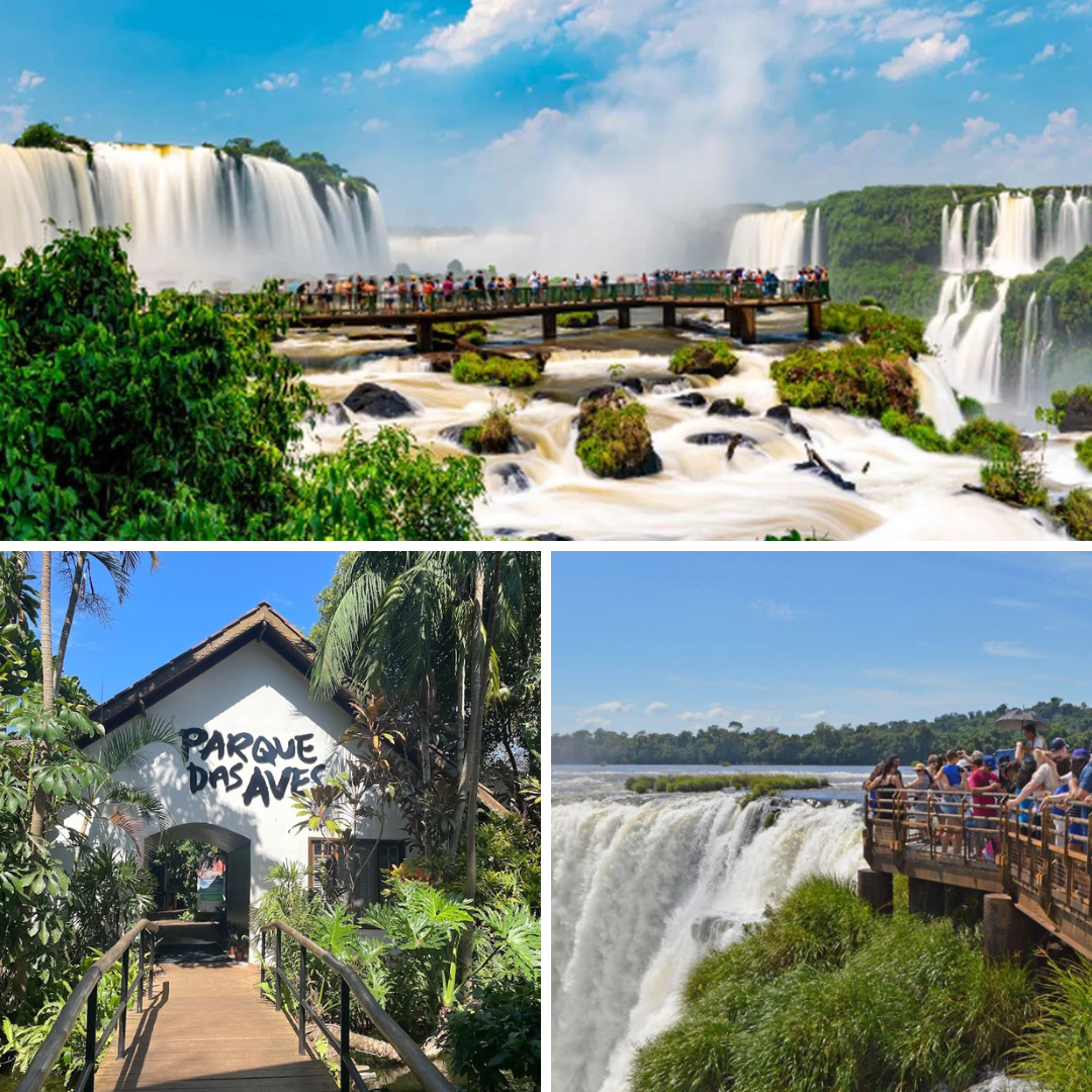Transporte In e Out + Cataratas Brasileiras + Parque das Aves + Cataratas Argentinas (sem ingressos)
