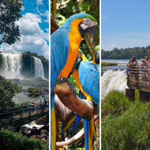 Transporte Cataratas Brasileiras + Parque das Aves + Cataratas Argentinas