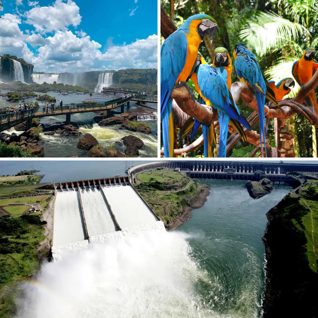 Transporte Cataratas Brasileiras + Parque das Aves + Visita Panorâmica de Itaipu