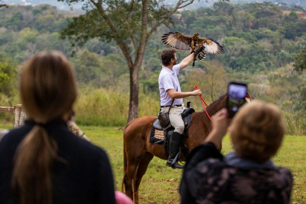 Ingresso – Eco Park / Falcoaria Mautone + apresentação dos voos