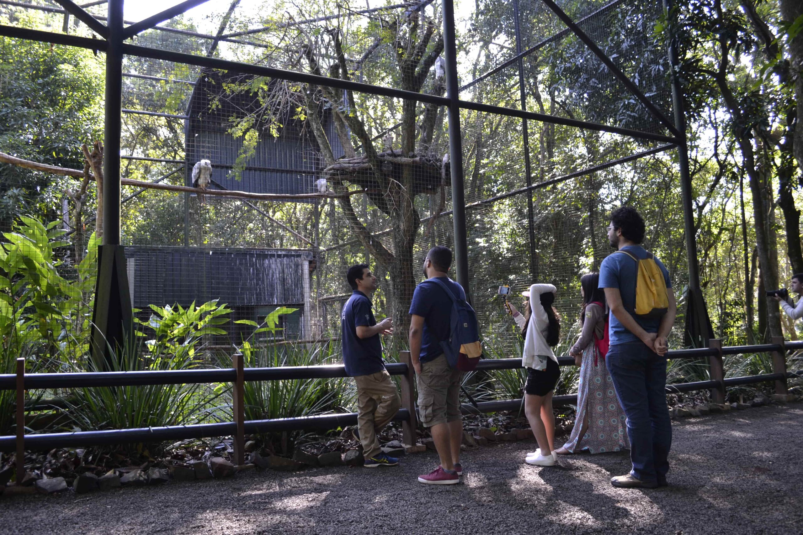 Ingresso Visita Refúgio Bella Vista de Itaipu Binacional - Imagem 2