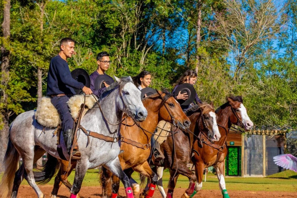 Ingresso – Eco Park / Falcoaria Mautone + apresentação dos voos - Imagem 2