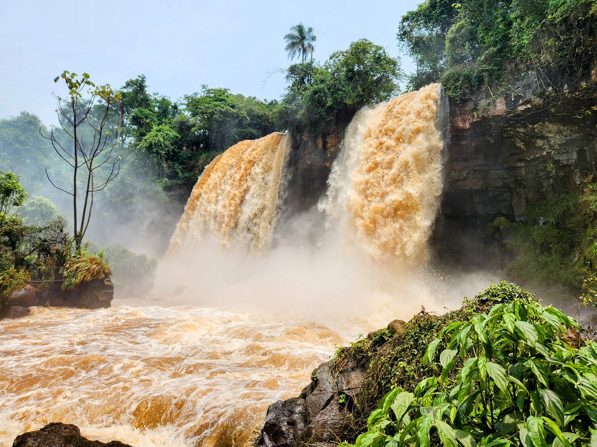 Transporte Cataratas Brasileiras + Parque das aves + Cataratas Argentinas + Visita Panorâmica de Itaipu - Imagem 5