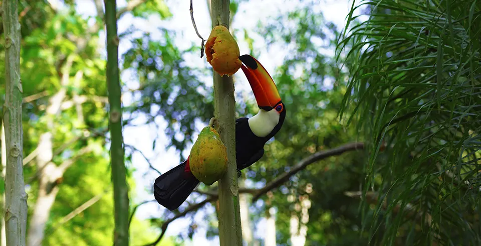 Transporte Cataratas Brasileiras + Parque das Aves + Visita Panorâmica de Itaipu - Imagem 4